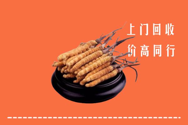 附近收购：凤山县冬虫夏草回收多少钱每克