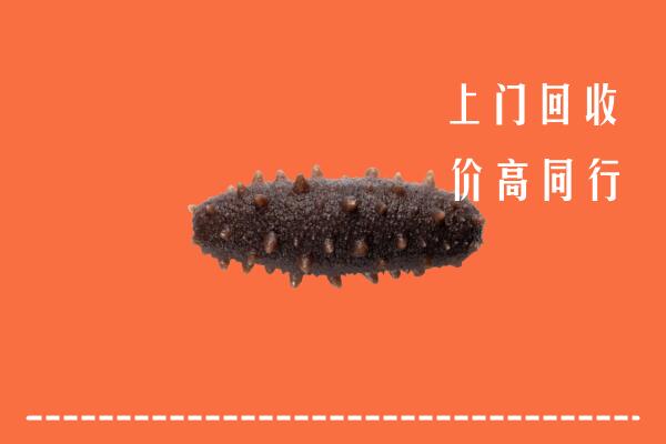 凤山县回收海参