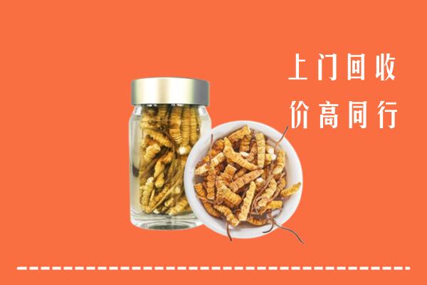 凤山县回收冬虫夏草