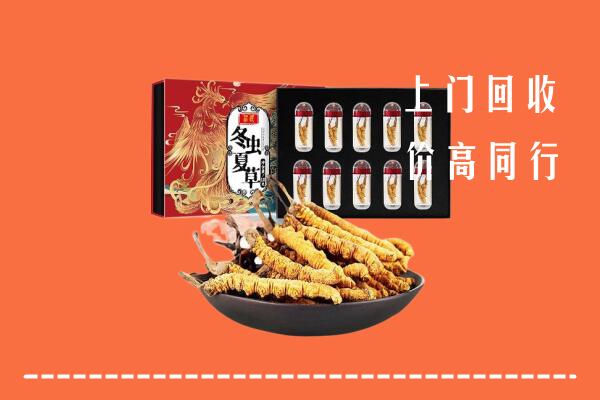 凤山县回收虫草